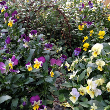 Garden of Eden
