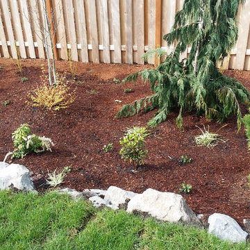 Camas Challenge/just planted w lawn extended