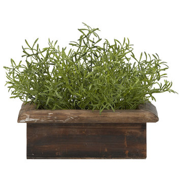 Wild Asparagus in Rectangle Wooden Planter