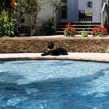 It's a Dog's World