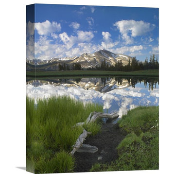 "Mammoth Peak Reflected In Seasonal Pool,  Yosemite Np, California" Artwork