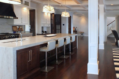 Transitional single-wall dark wood floor and brown floor open concept kitchen photo in Minneapolis with shaker cabinets, white cabinets, marble countertops, marble backsplash and an island