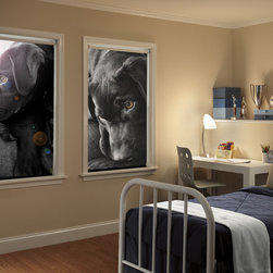 PERSONA Custom Graphics - Window Treatments
