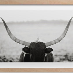 Staredown by Amy Carroll - Fine Art Prints