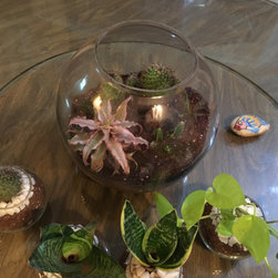 Project No.- 123 - Terrariums