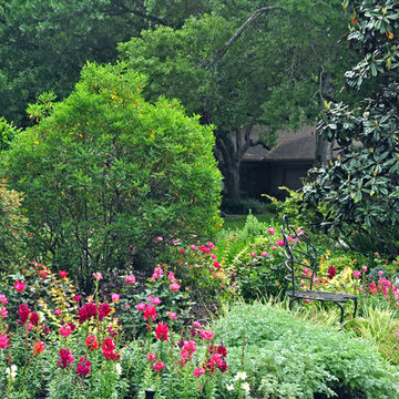 Cottage-style front yard in Braeswood Place