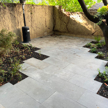 Modern Urban Shade Garden