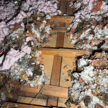 Attic Air Sealing & Cellulose Insulation Upgrade