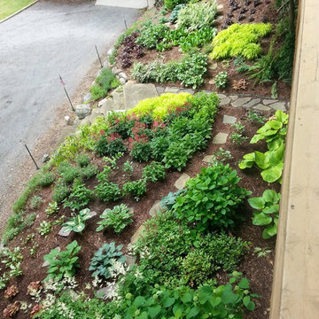 Duneside Shade Garden