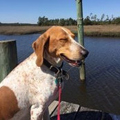 Torry Beaven's photo