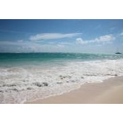 Anita Minelli's photo