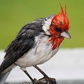Dawn Kulas's photo