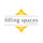 fillingspacesdesigns