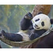 Jill Rawhouser's photo