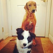 Kellie Phillips's photo