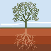 William Clodfelter's photo