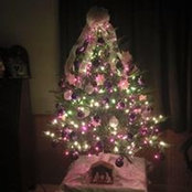 Tammy Hammonds's photo