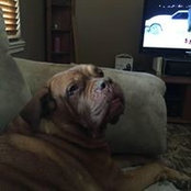 Kimberly Seers's photo