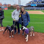 Mike Marino's photo