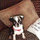 jan_crawford
