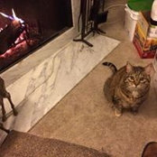 Angela Jeffreys's photo