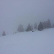 Natacha Kantor's photo