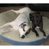 Patty Sampson's photo