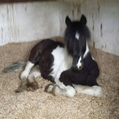Jean Walmsley's photo