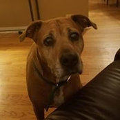 Tiffany Stoffer's photo