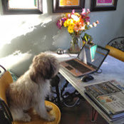 Eliot Bethke's photo