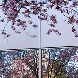 Spring Blossoms in Reflection - Artwork