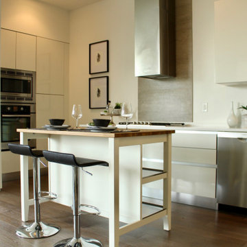 Open Plan Boston Contemporary Gets Defined
