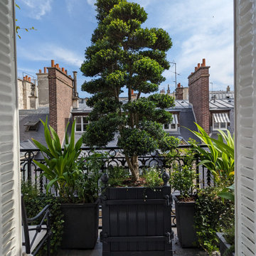 Terrasse et Balcon Parisienne