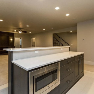 Inspiration for a medium sized traditional look-out basement in Other with grey walls, carpet and no fireplace.