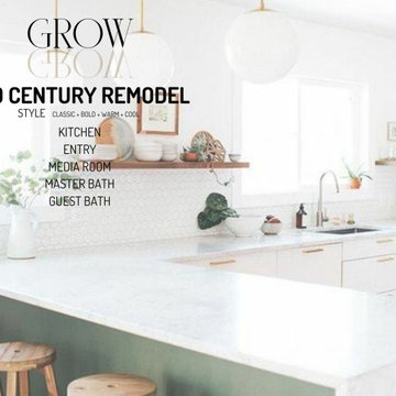 Mid-Century Remodel
