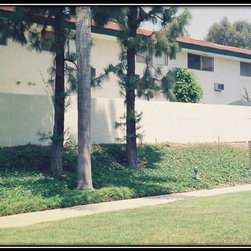 Fencing - Wall Panels