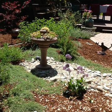 Small Garden Lawn Replacement