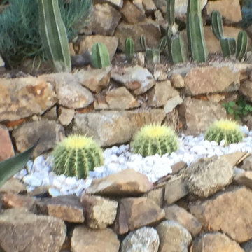 Xeriscape - Drought Tolerant Succulent Planting -Water Wise in LA