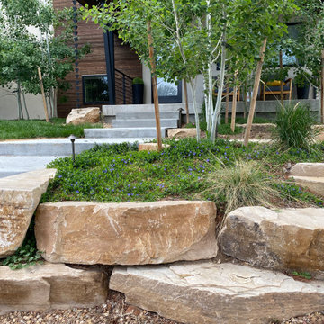 Mountain inspired minimalist boulder retaining walls and plantings.