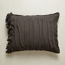 shannon_mosley's ideas