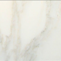 Calacatta Gold Italian Marble 12x12 Tile Honed - Products