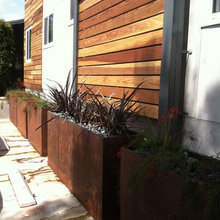 Cedar Ave Landscape