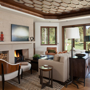 Transitional Living Room