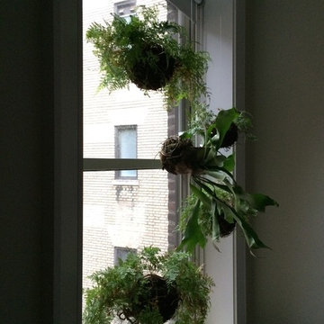 Plant sculptures - West 98th Street, NY