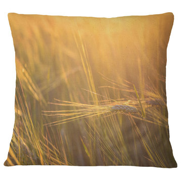 Wheat Field Close Up At Sunset Landscape Printed Throw Pillow, 18"x18"