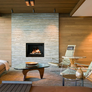 Contemporary Living Room