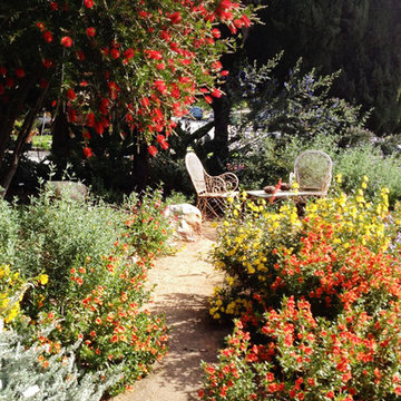 2016 Native Plant Garden Tour