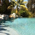 Pro Care Pool Service's profile photo