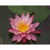 Beth Huber's photo