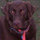 webuser_798528